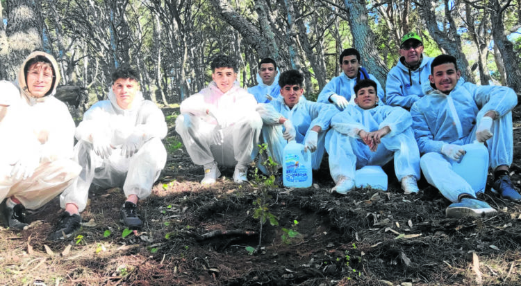 sustituir-basura-arboles9