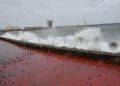 temporal-levante-oleaje-mar-006