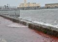 temporal-levante-oleaje-mar-007