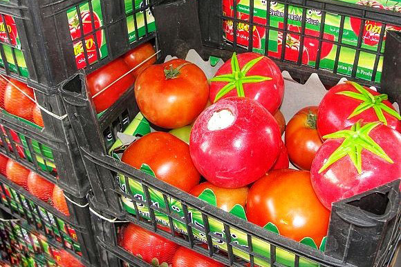 tomates-droga-marruecos