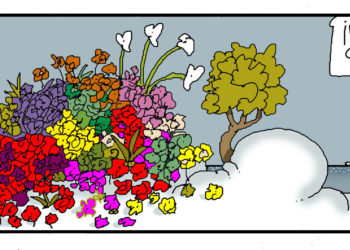 060522 COLOR