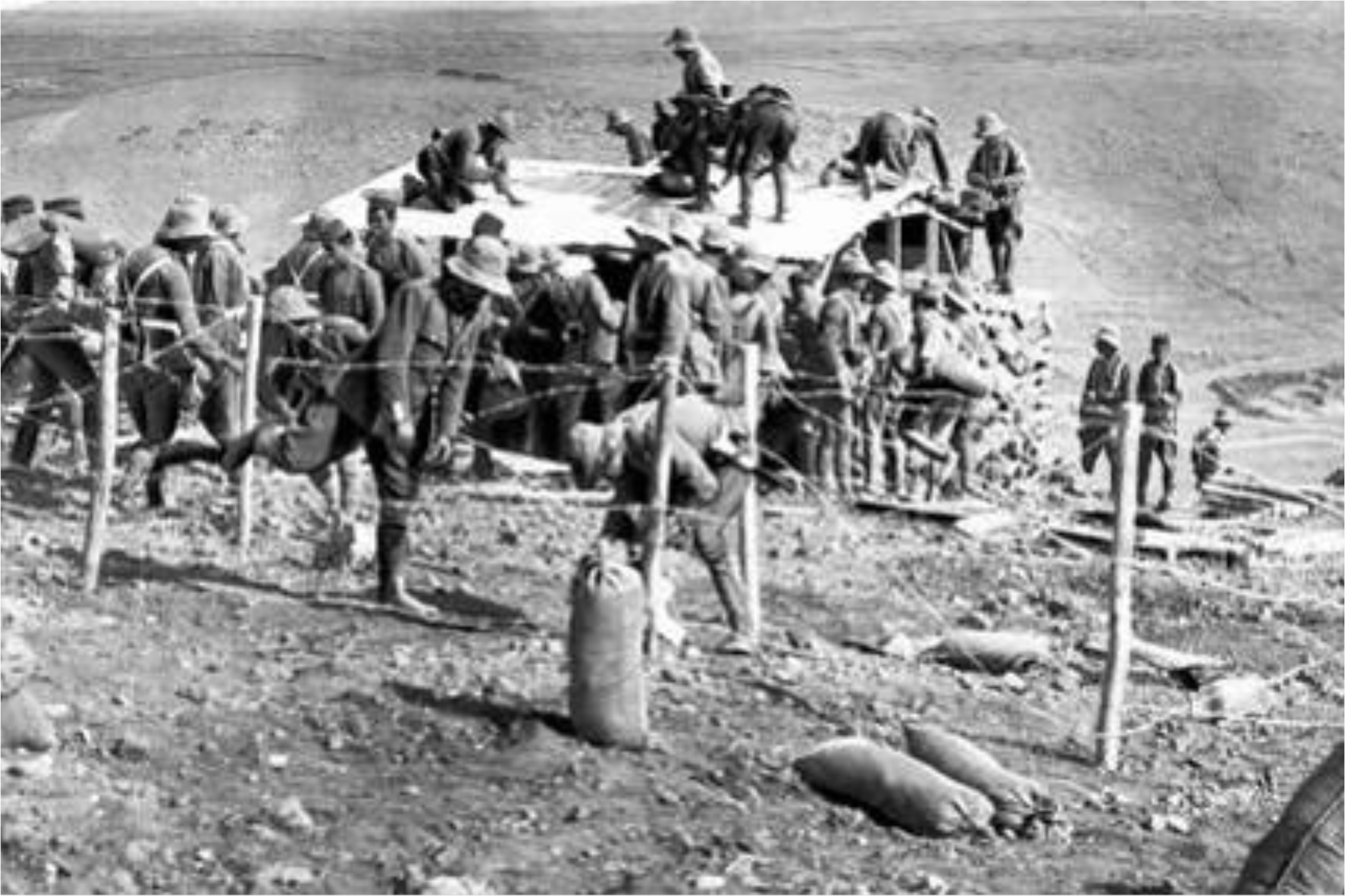 ganaderos