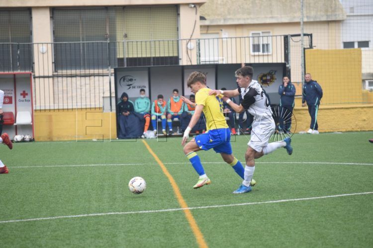 cd polillas