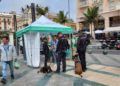 cuestacion-cancer-plaza-reyes-001