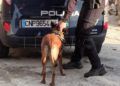 detenido-benzu-policia-nacional-004