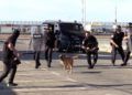 exhibicion-policia-local-005