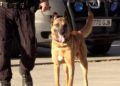 exhibicion-policia-local-008