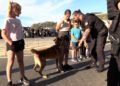 exhibicion-policia-local-009