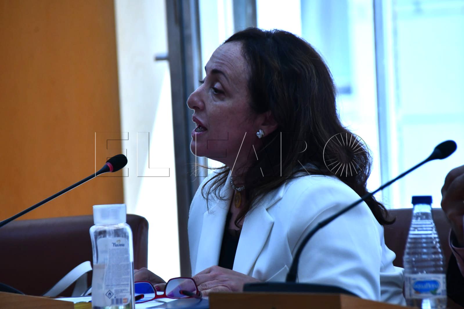 maria-carmen-vazquez