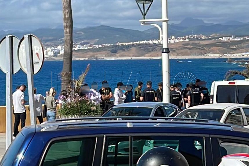 mena-piniers-menores-3