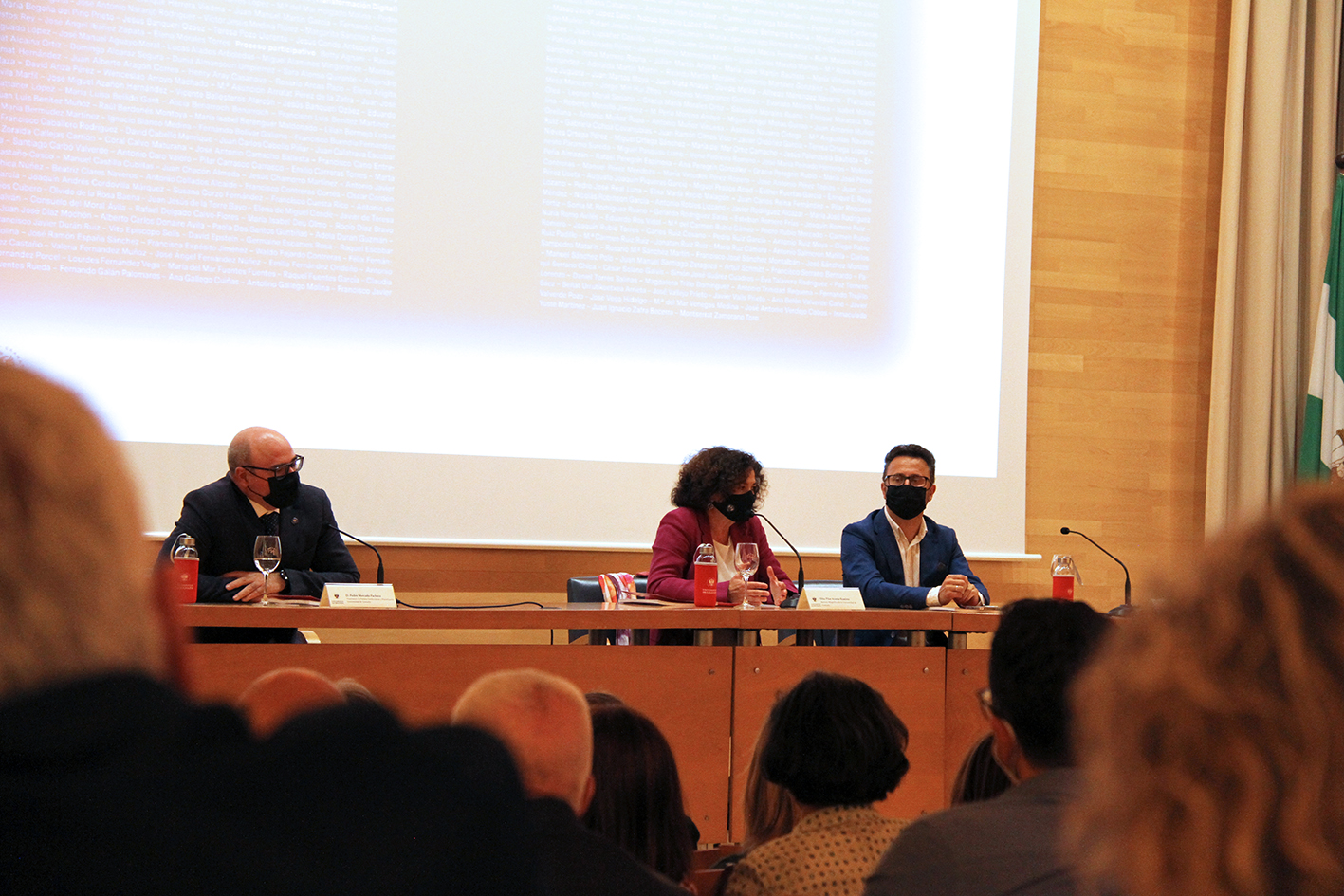 presentacion-plan-estrategico-ugr1