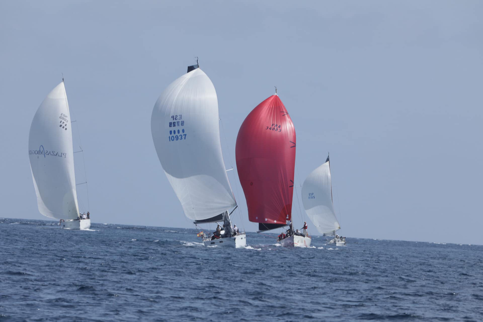 rayter-regata-vela37