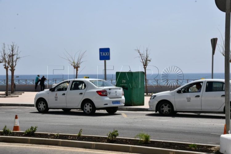 taxis-frontera-1