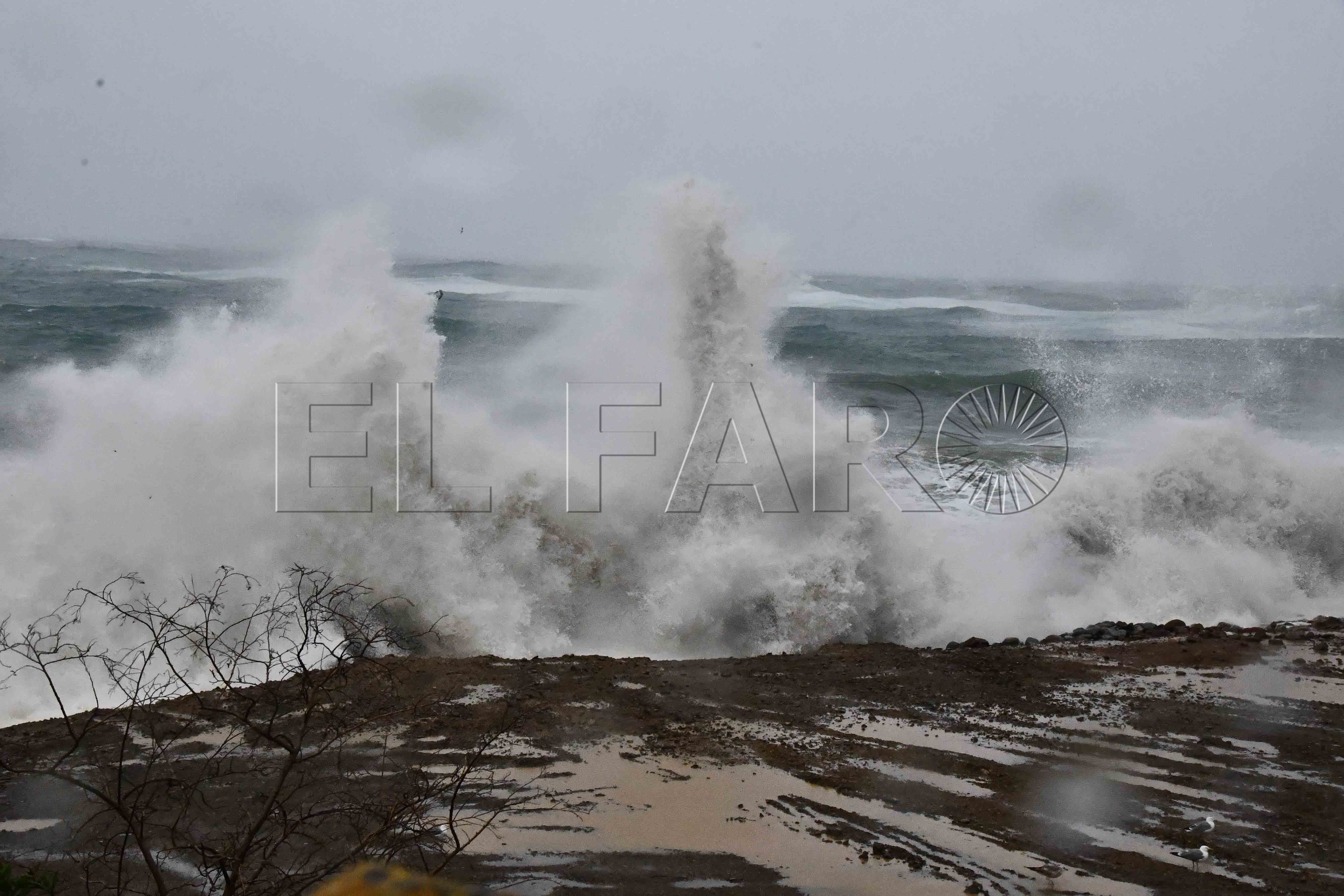 temporal-olas