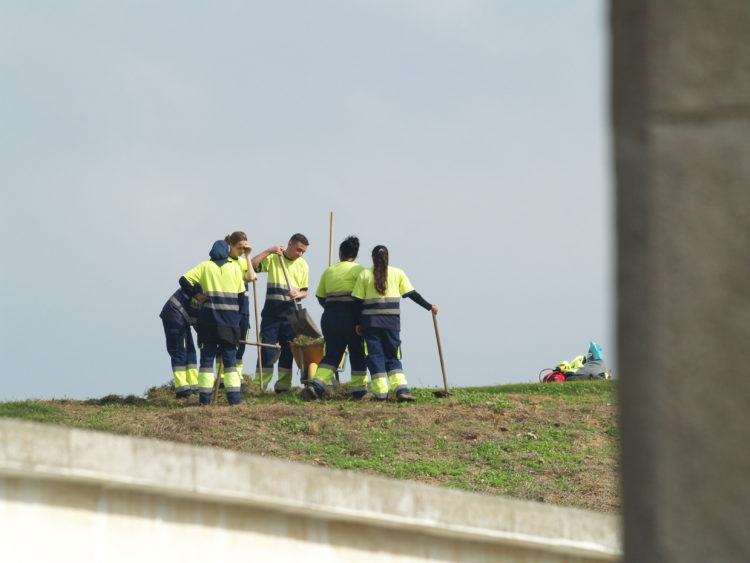 trabajadores