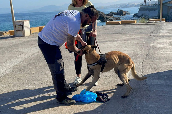 unidad-canina-rescate-proteccion-civil-002