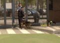 zona-parque-perros5