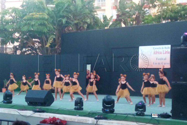 africa-lirio