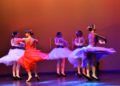 ballet-rosa-founaud-revellin-024