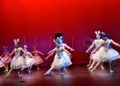 ballet-rosa-founaud-revellin-062