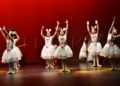 ballet-rosa-founaud-revellin-069