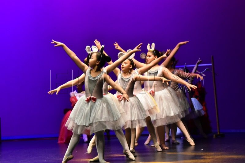 ballet-rosa-founaud-revellin-078