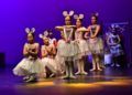 ballet-rosa-founaud-revellin-079