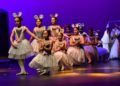 ballet-rosa-founaud-revellin-081
