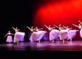 ballet-rosa-founaud-revellin-098
