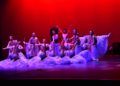 ballet-rosa-founaud-revellin-100