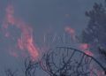 camino-ronda-incendio-004