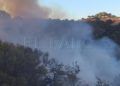 camino-ronda-incendio-006