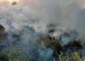 camino-ronda-incendio-008