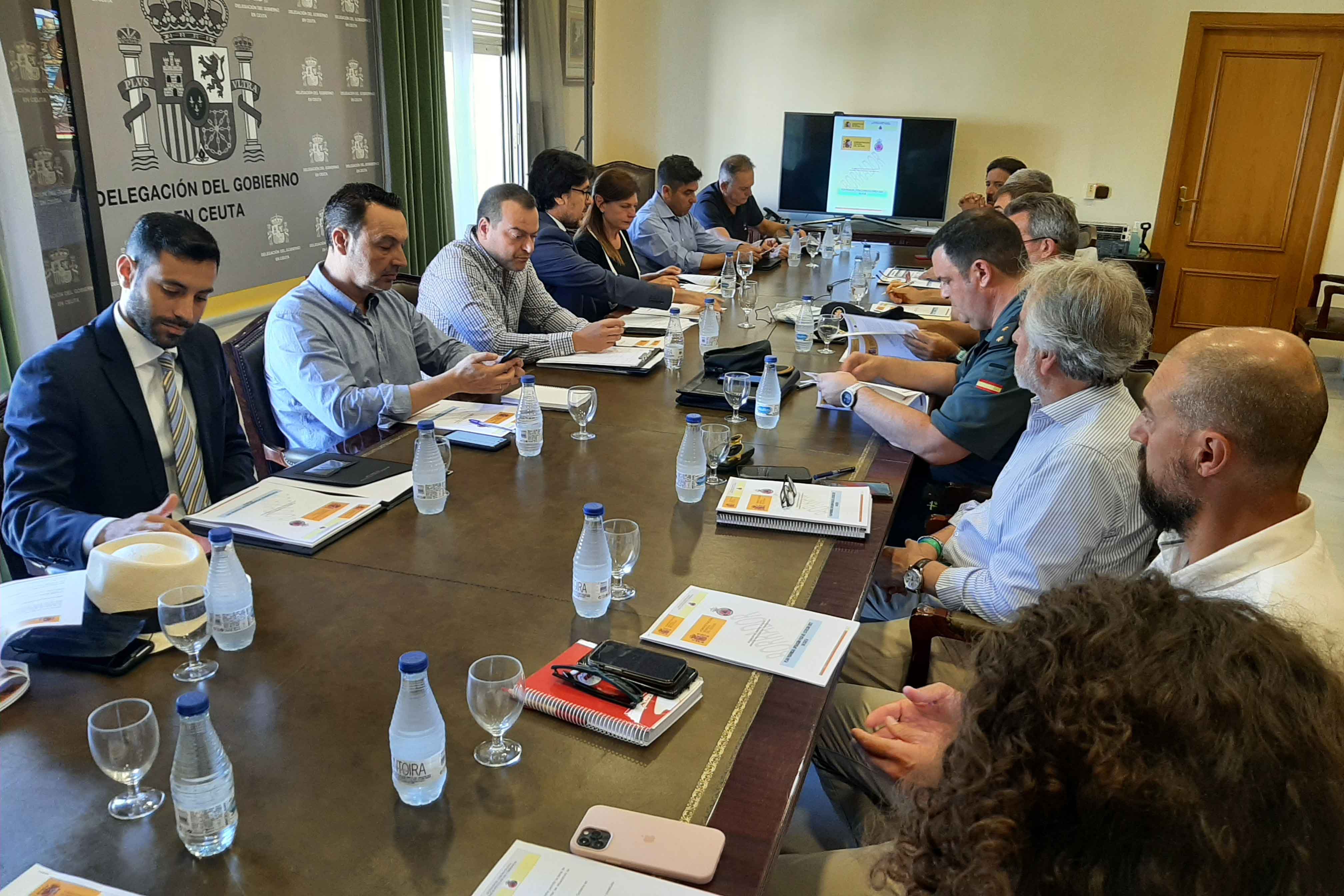comite-asesor-ope (1)