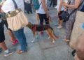 concentracion-animalista-homenaje-shercan-002
