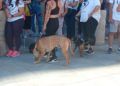 concentracion-animalista-homenaje-shercan-006