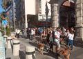 concentracion-animalista-homenaje-shercan-010