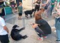 concentracion-animalista-homenaje-shercan-012