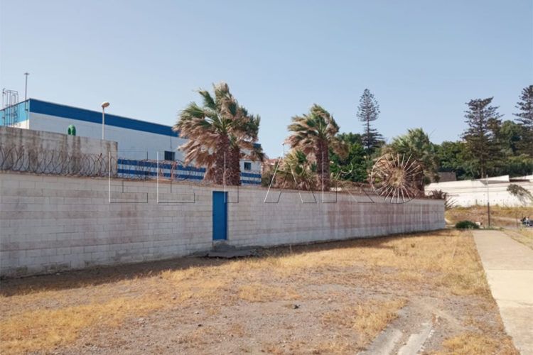 desaladora