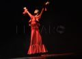 espectaculo-danza-allegro-revellin-018