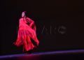 espectaculo-danza-allegro-revellin-019
