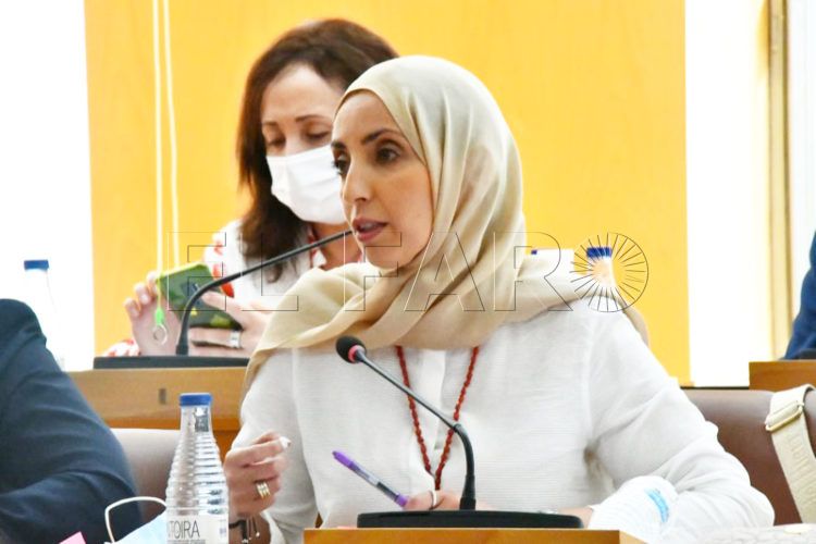 fatima-hamed-pleno-001