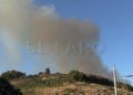 fuego-incendio-camino-ronda-bomberos-005