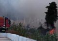 fuego-incendio-camino-ronda-bomberos-007