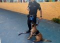 guias-caninos-instituto-abyla-005