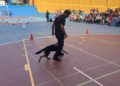 guias-caninos-instituto-abyla-006
