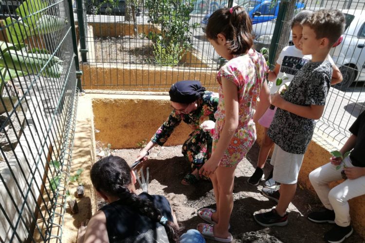 huertos-comunitarios-miramar-bajo (1)