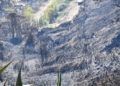 incendio-camino-ronda-afectados-011