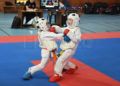 karate (12)