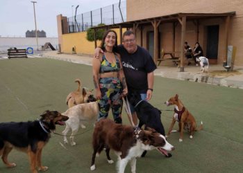 parque-perros